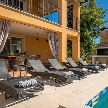 Ari 8+2 * Крница