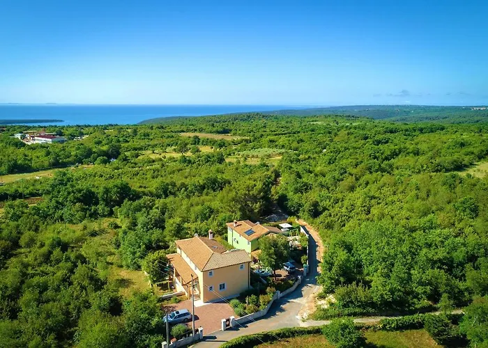 Ari 8+2 Villa